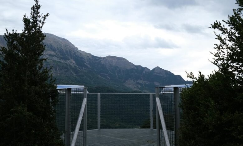 elevate online service platform